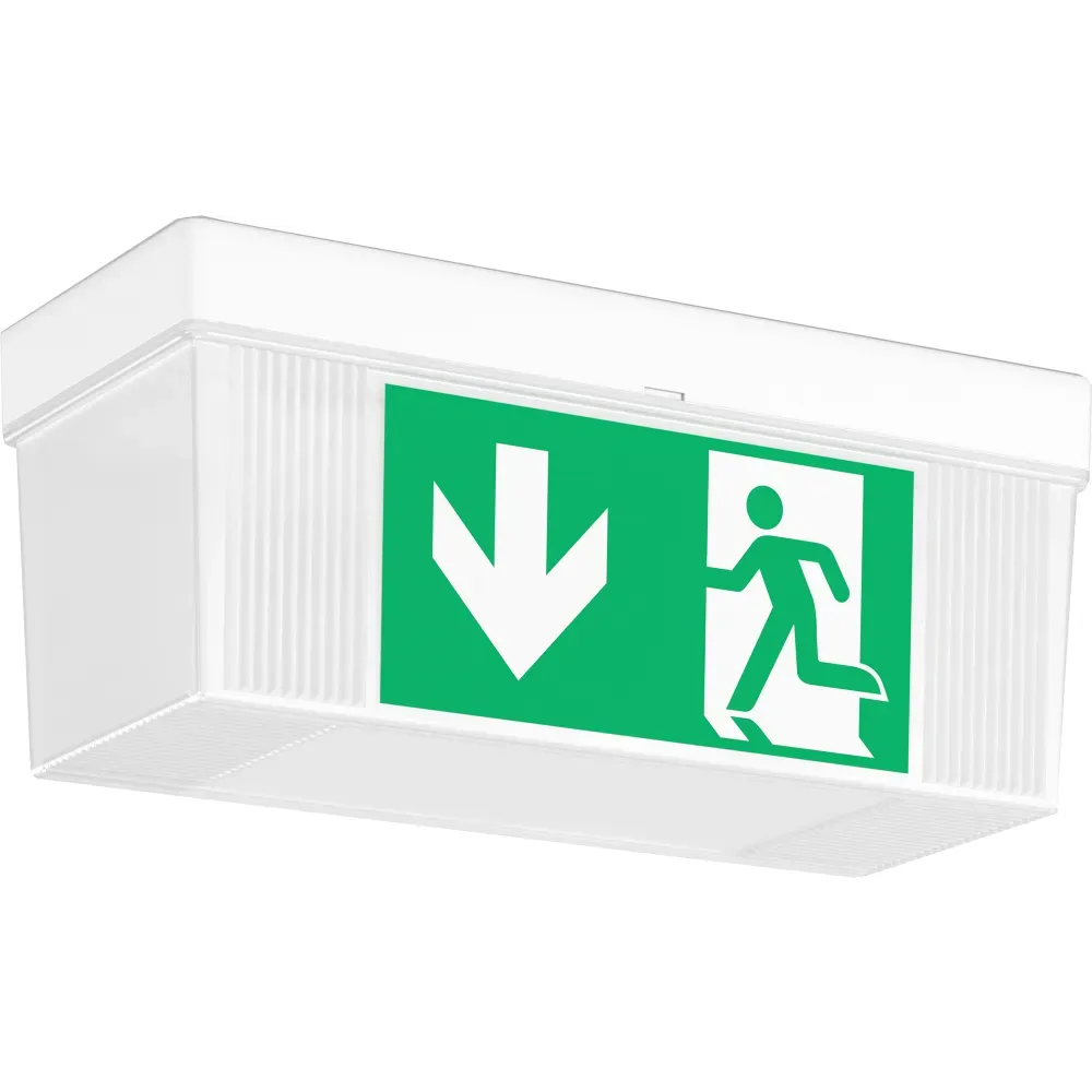 LED Notleuchte Sicherheitsleuchte Rettungszeichenleuchte GSUN 4 Wand und Decke LED RZB LED Notleuchte Sicherheitsleuchte Rettungszeichenleuchte GSUN 4 Wand und Decke LED RZB
