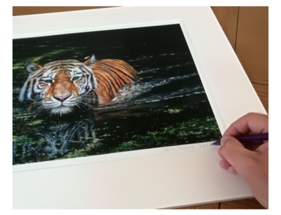 Majestic Approach Hand Signed Limited Edition Print