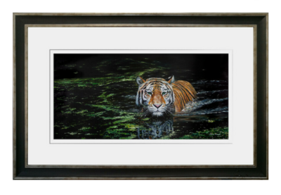 Majestic Approach Limited Edition Print Framed