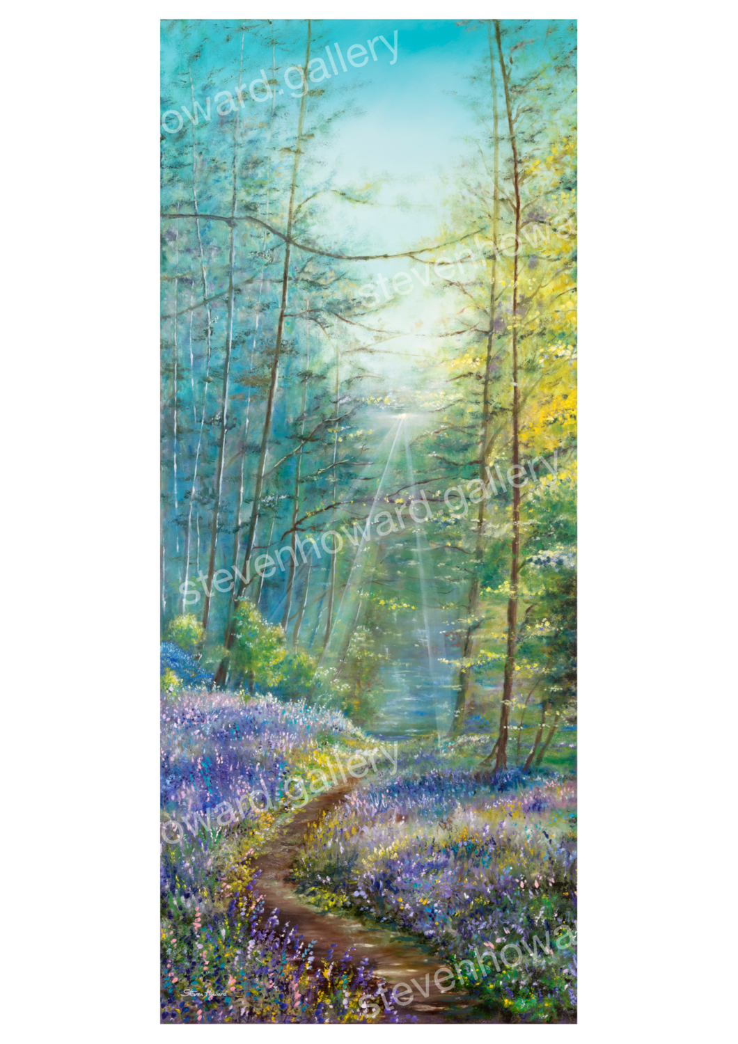 Bluebell Walk Hand Signed Limited Edition Print