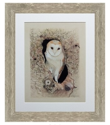 Wise Owl Signed Limited Edition