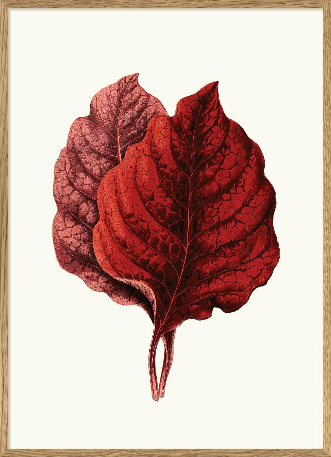 Affiche RED LEAVES   30x40 cm