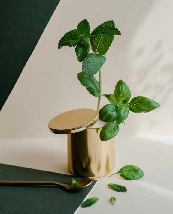 Bougie Menthe Basilic avec message