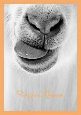 Carte DRAMA QUEEN