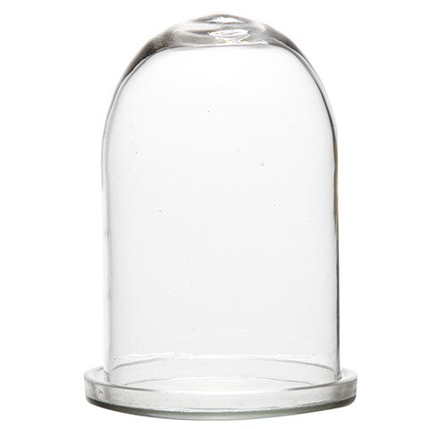 Cloche / Globe sur Socle Verre transparent