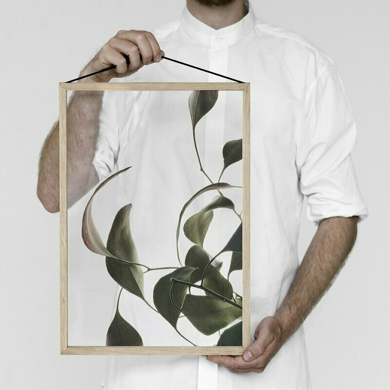 Affiche Floating Leaves 08 Transparent A3