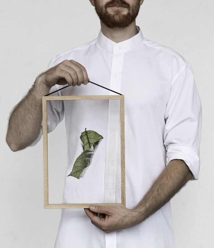 Affiche Floating Leaves Transparent 04  A4