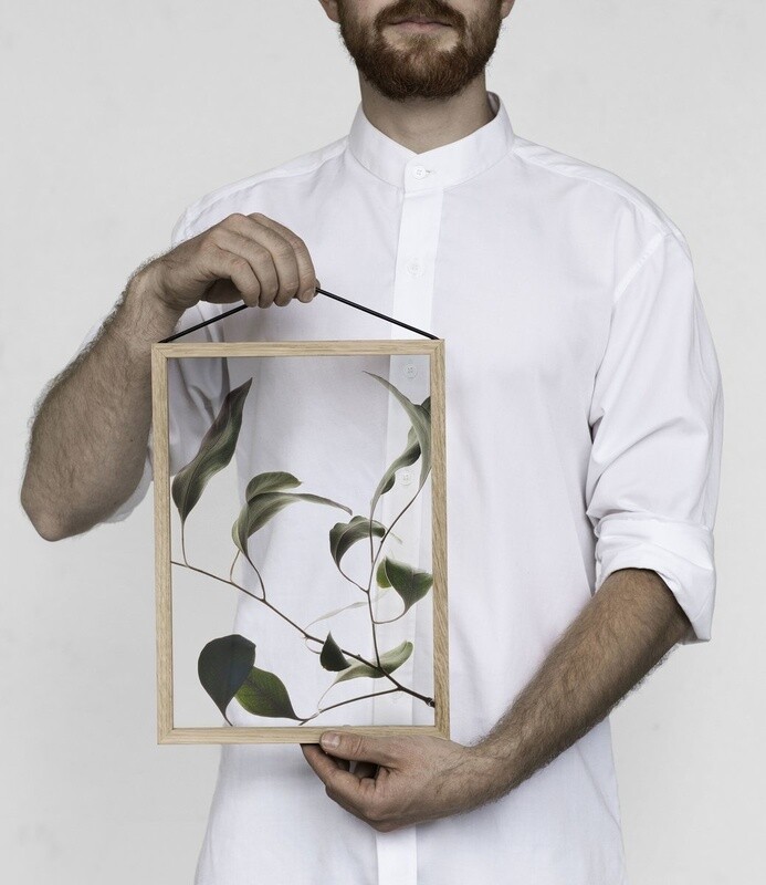 Affiche Floating Leaves 09 Transparent  A4