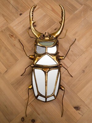 Miroir Insecte Lucane