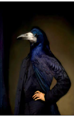 Affiche BLUE BIRD COLE