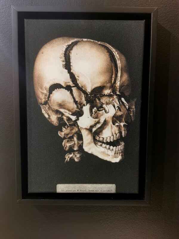 Canvas print SKULL sur cadre bois 20X30 cm