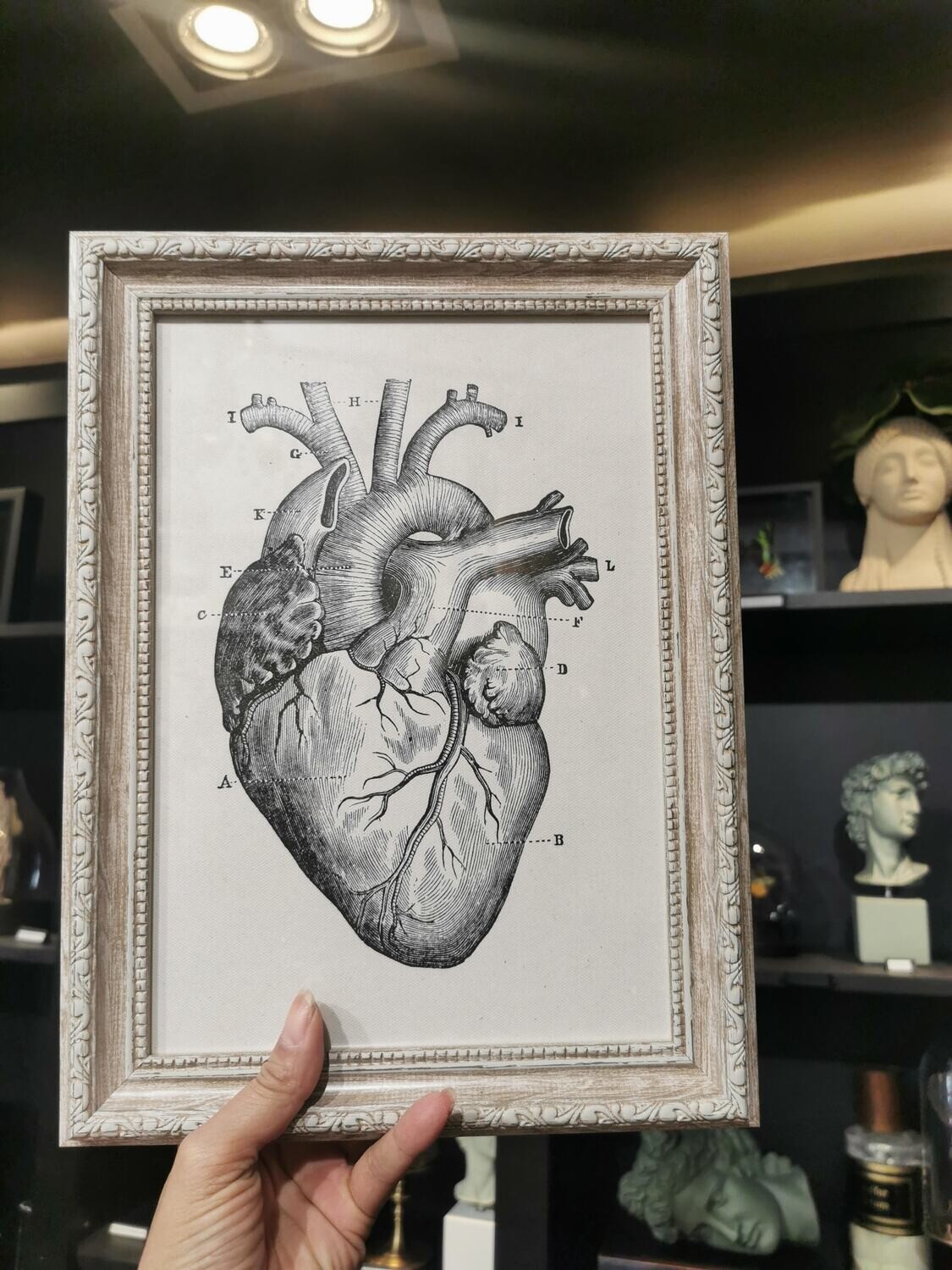 Cadre Coeur Anatomique col Shabby chic Walnut A4