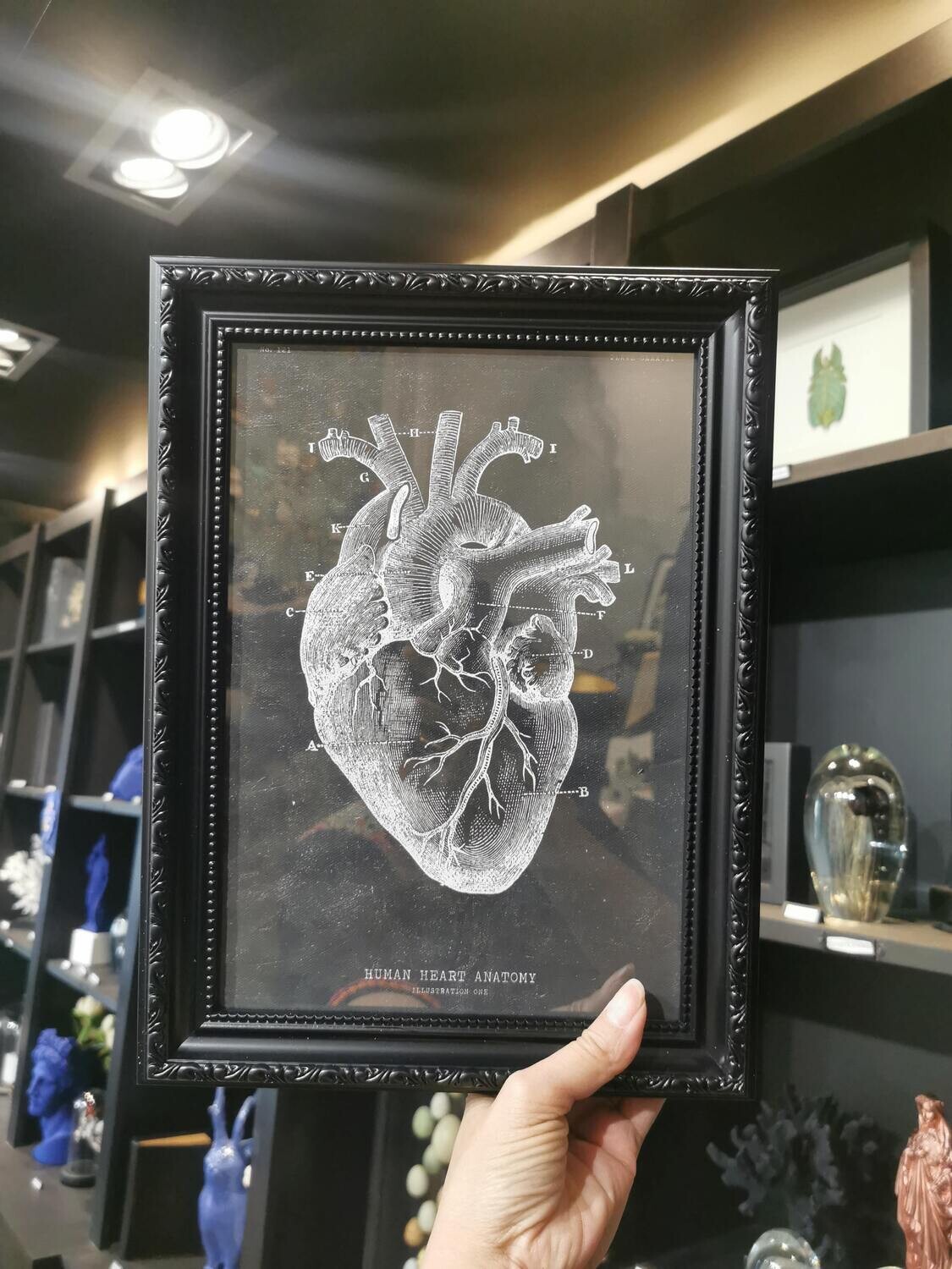 Cadre Anatomique coeur Noir A4