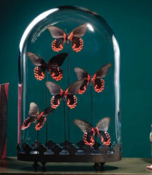 6 Papillons rouges RUMANZOVIA Globe oval- socle laiton noir (sur precommande)