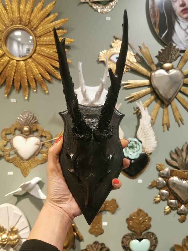 Trophee fausses Cornes et Crane Noir