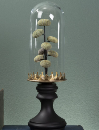 Cloche Oursins Verts