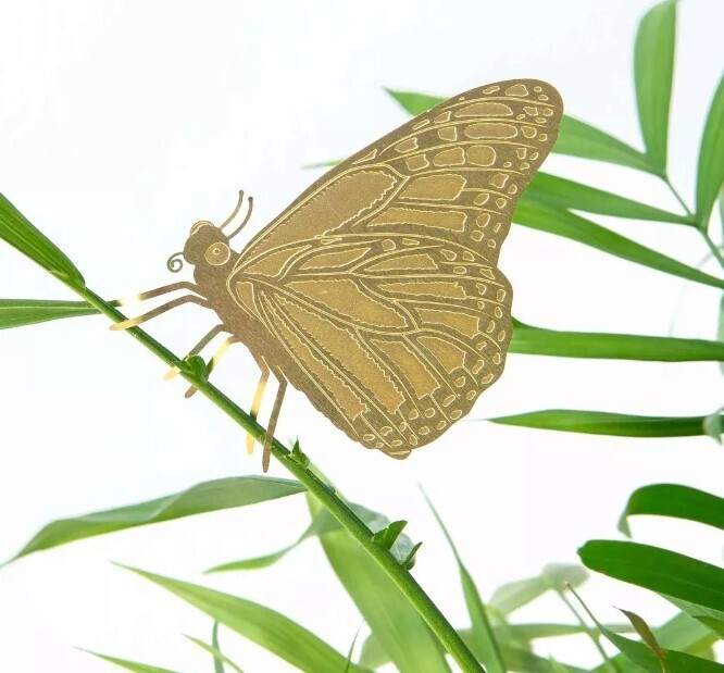 Decoration pour Plante Papillon