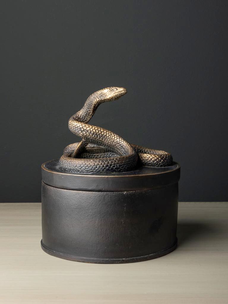 Boite Ronde Serpent