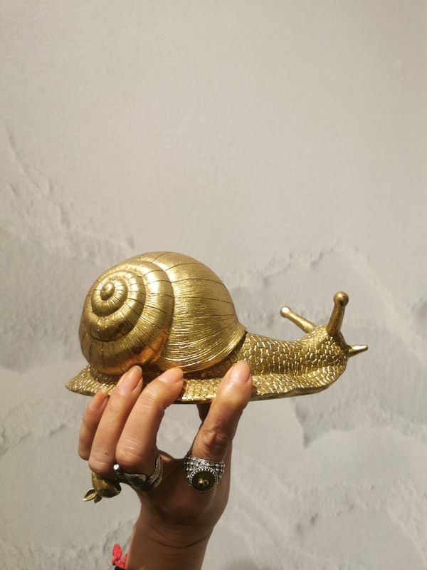 Escargot Or a poser
