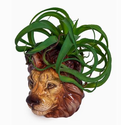 Vase Lion