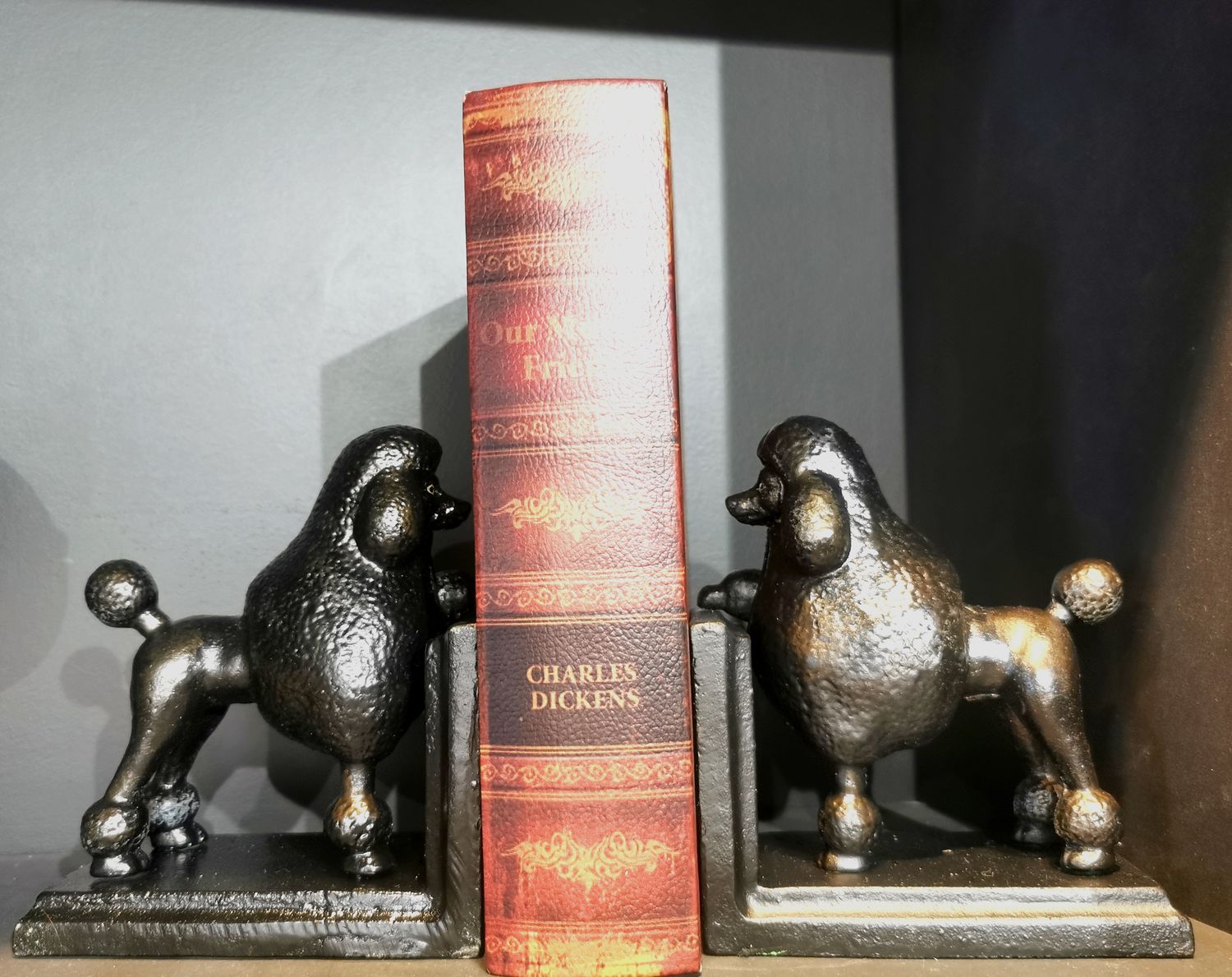 Serre Livres Caniches