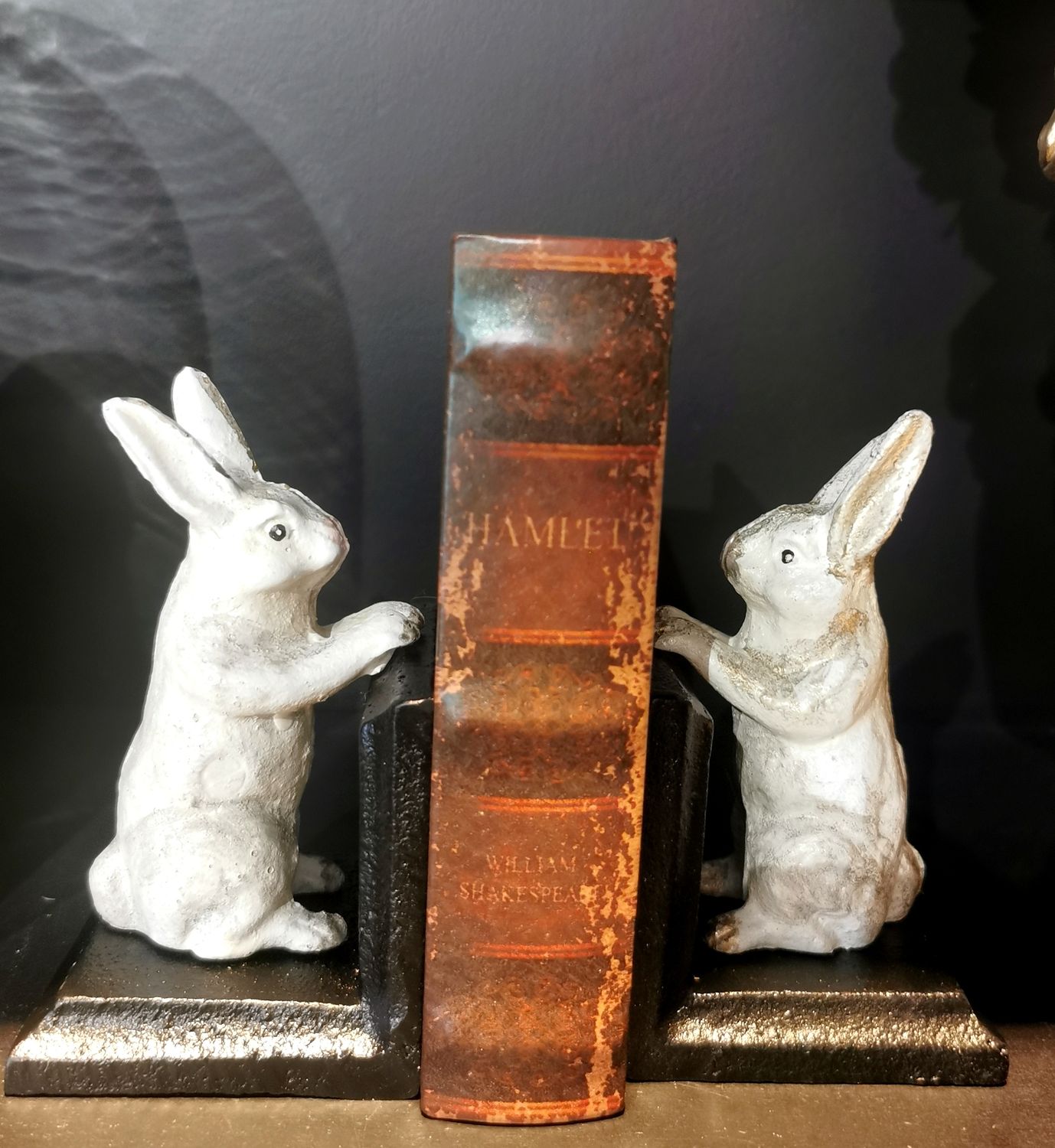 Serre Livres Lapins