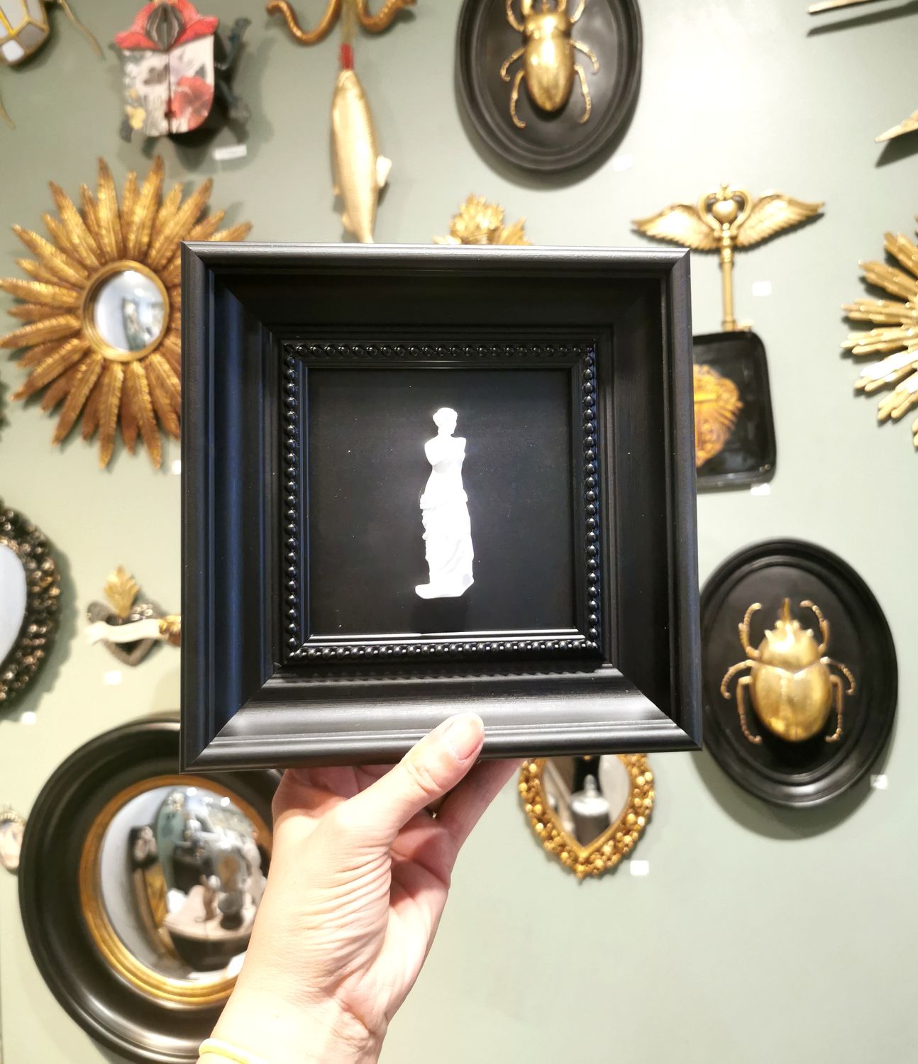 Cadre Venus 3D