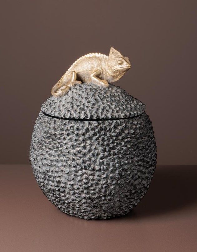 Grande Boite Cameleon