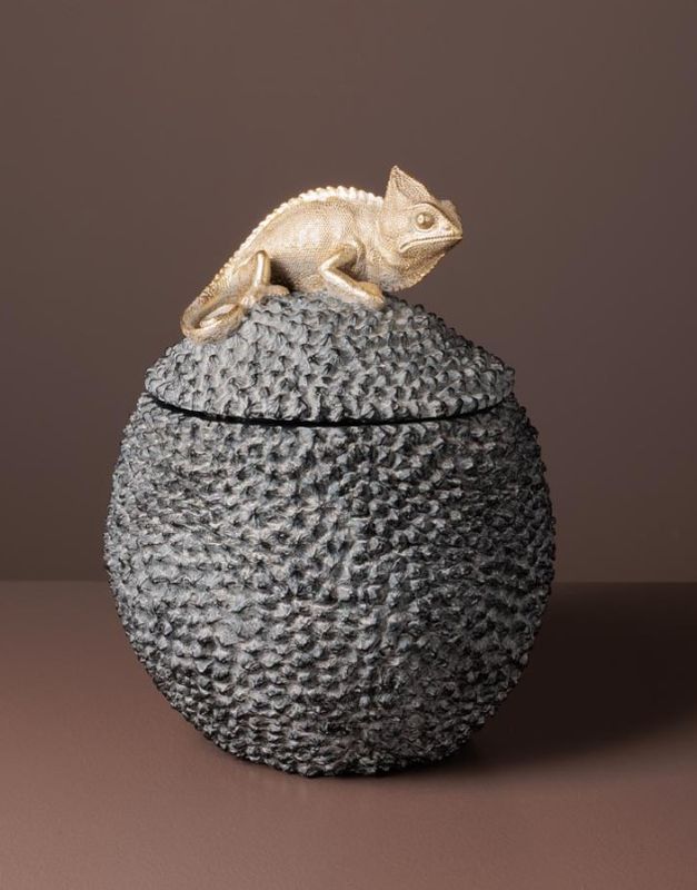 Grande Boite Cameleon