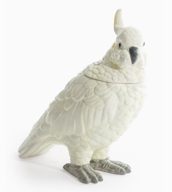 Boite Perroquet Blanc