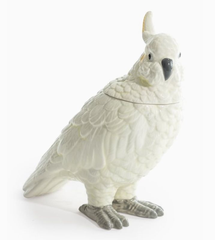 Boite Perroquet Blanc/Jaune tres pale Boite Perroquet Blanc/Jaune tres pale