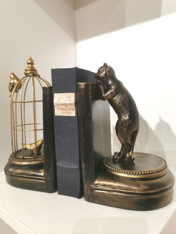 Serre Livres Cat and Birds