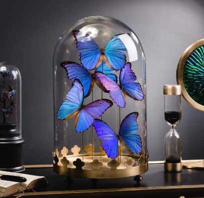 Cloche Envolée de Morpho Didius