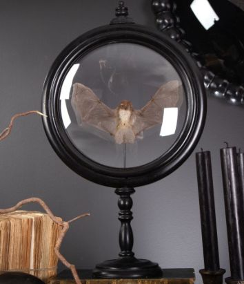 Reliquaire Chauve Souris