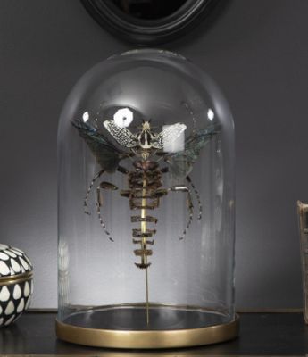 Cloche Eclaté Goliath