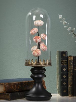 Cloche Oursins Roses