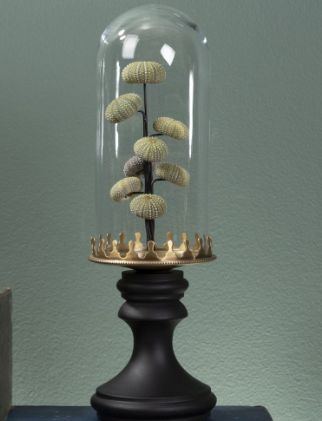 Cloche Oursins Verts Cloche Oursins Verts