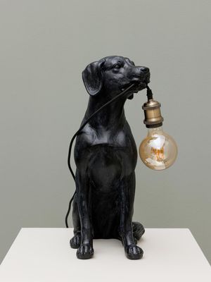 Luminaires