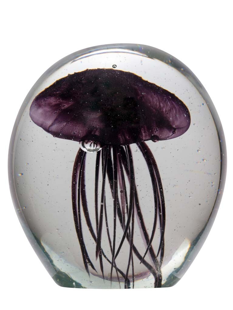 Sulfure Meduse Noire