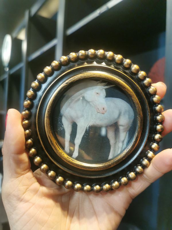 Petit Cadre Rond Licorne