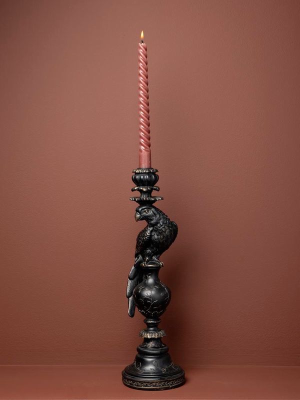 Bougeoir Perroquet Noir