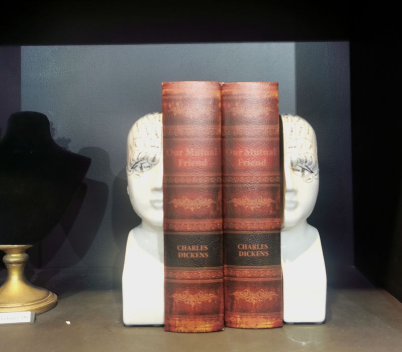 Serre Livres Phrenologie