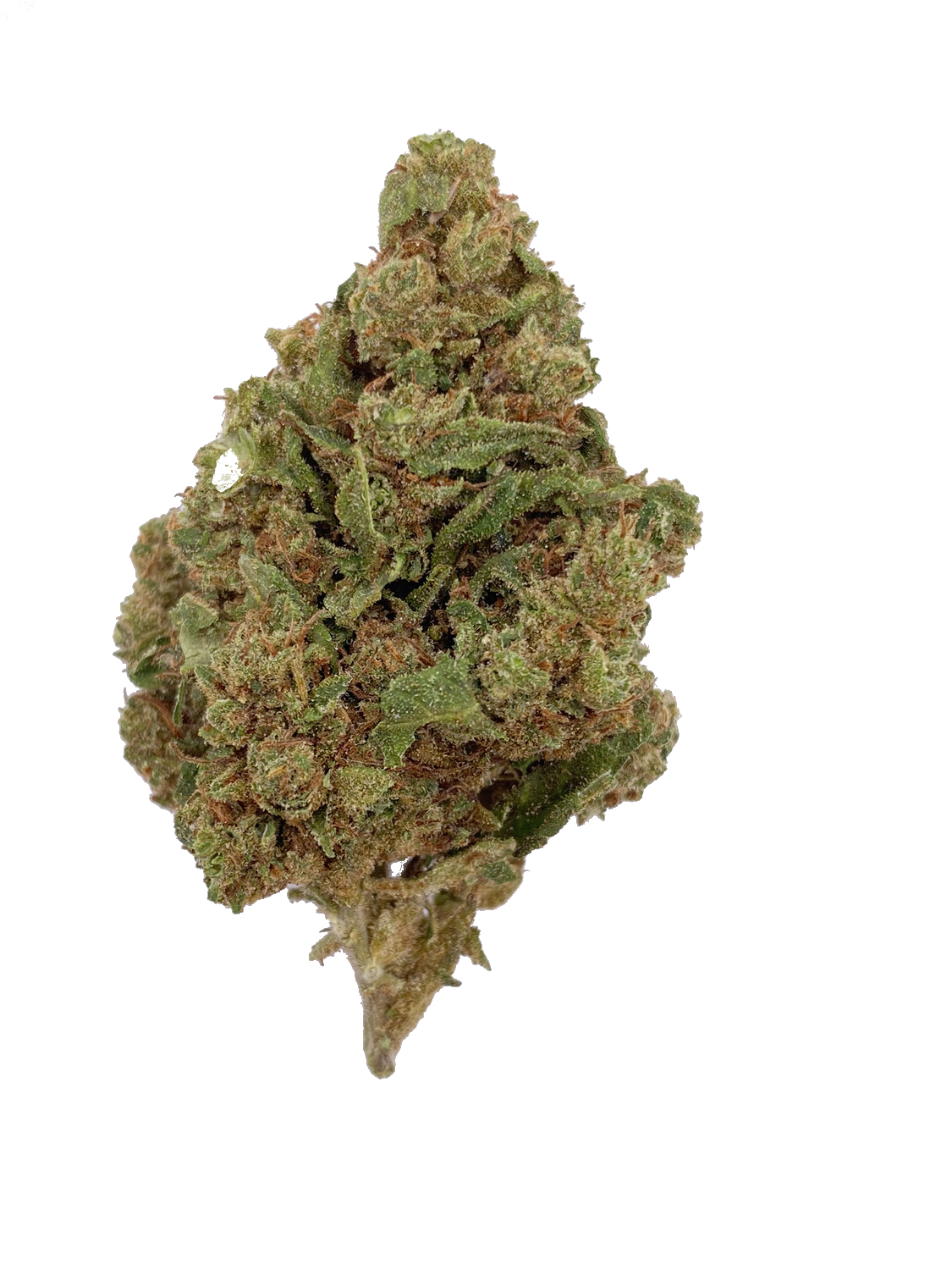 Colombiana Haze Colombiana Haze
