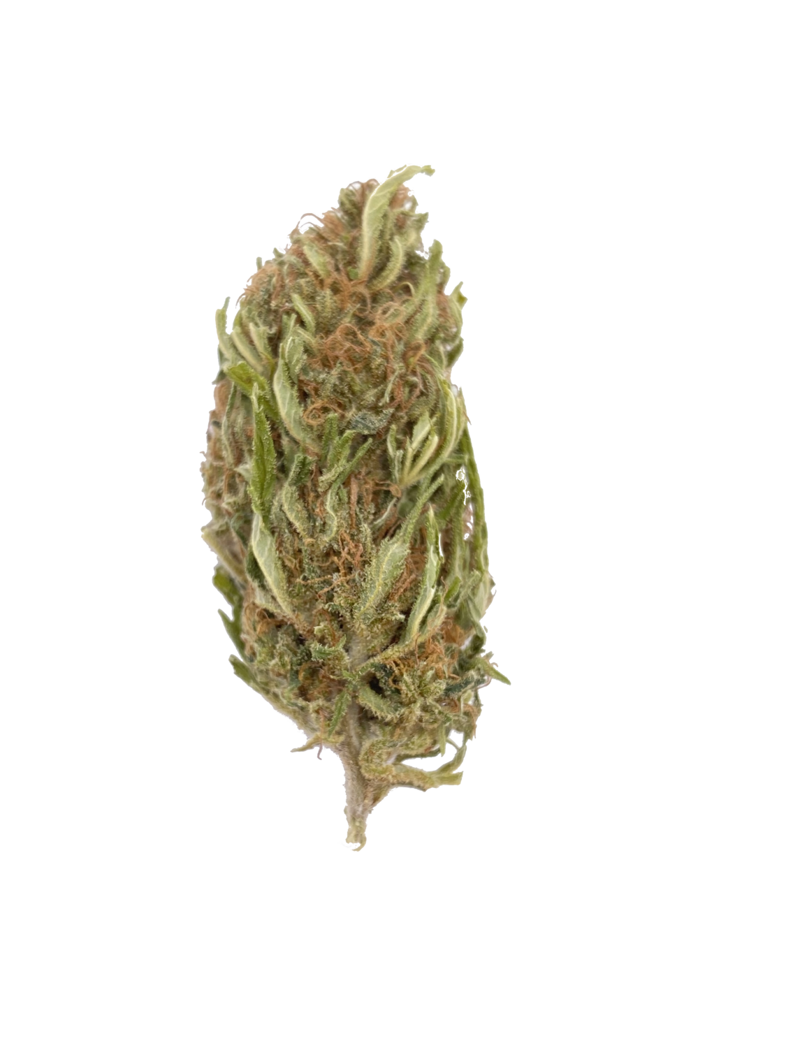 Cookies 10G Cookies 10G