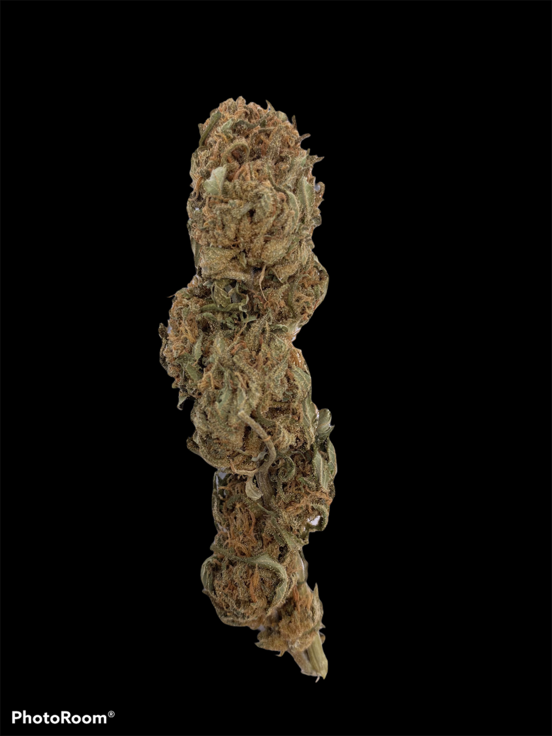 Indian Kush Indian Kush