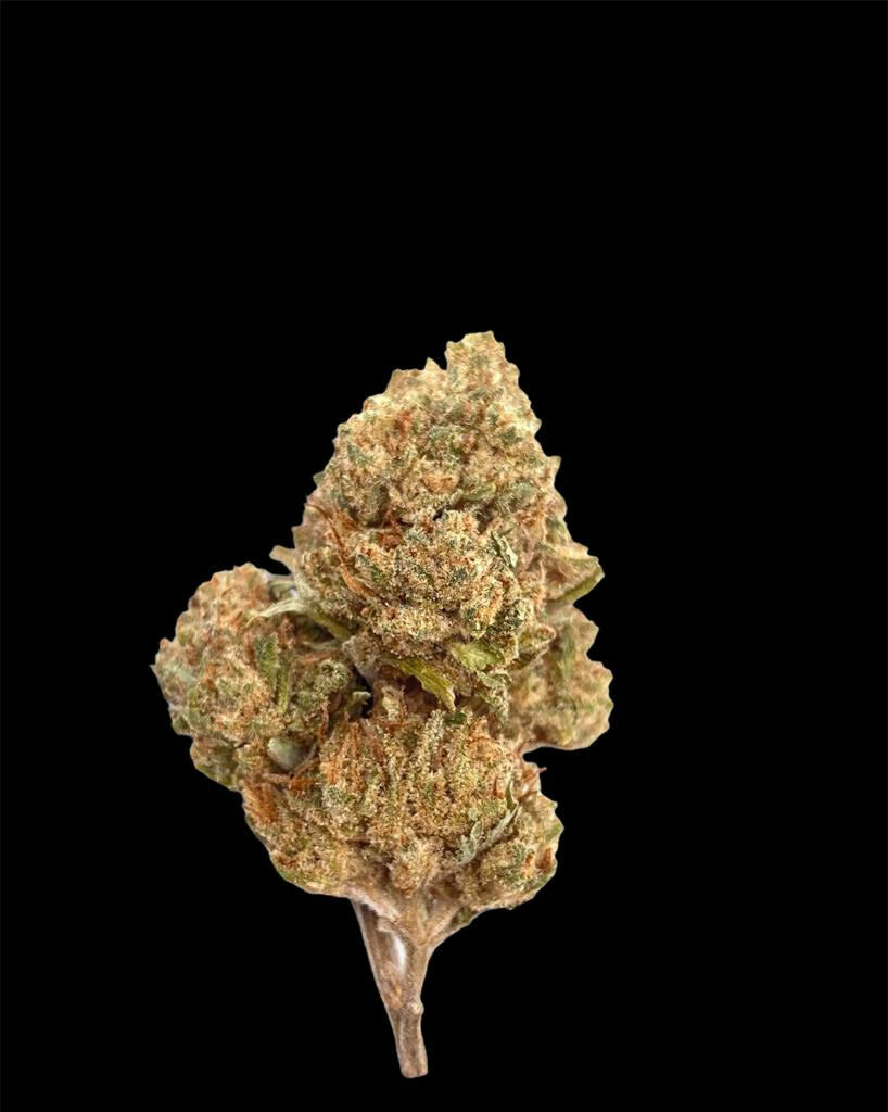Moby Dick Moby Dick
