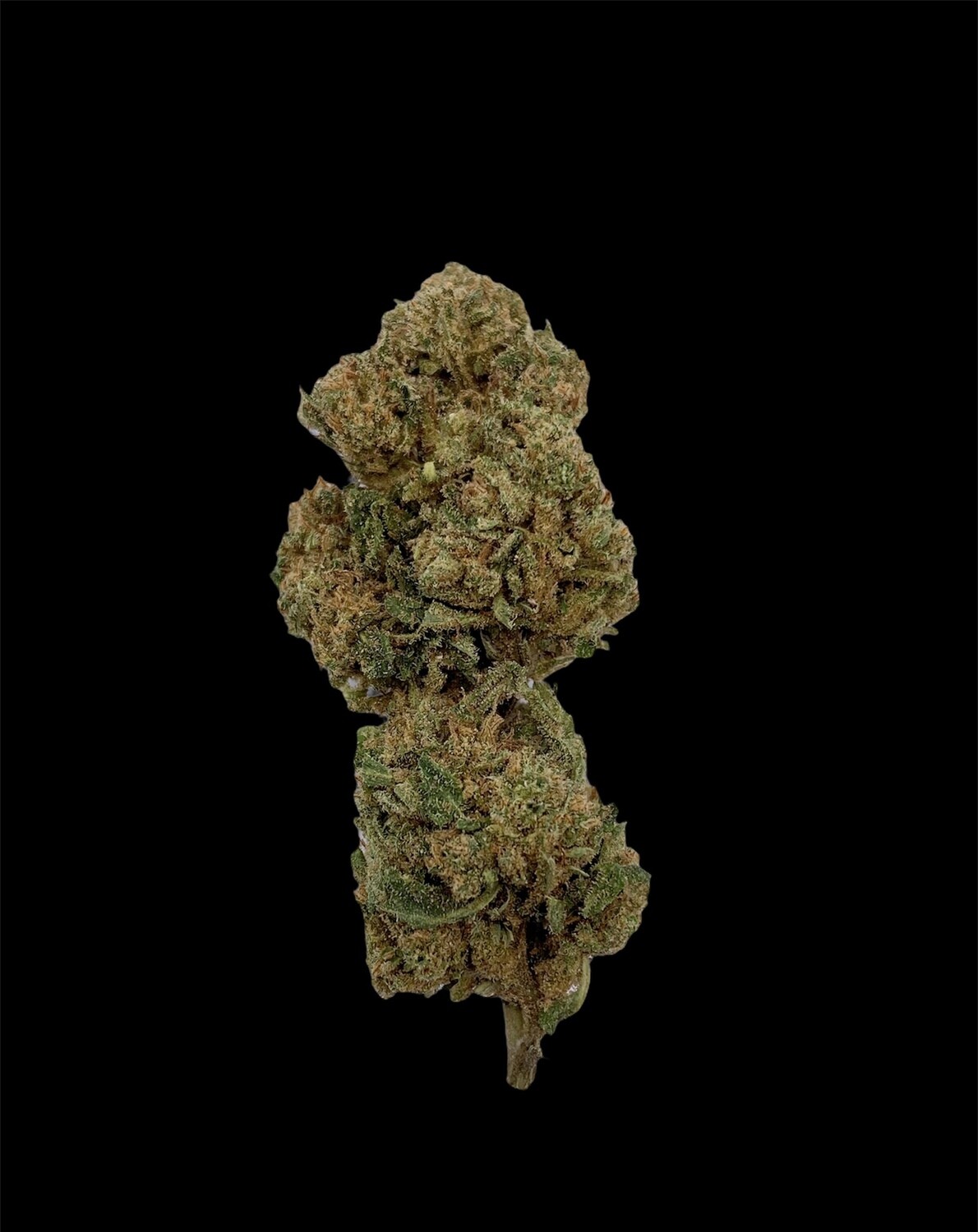 CRYSTAL HAZE CRYSTAL HAZE