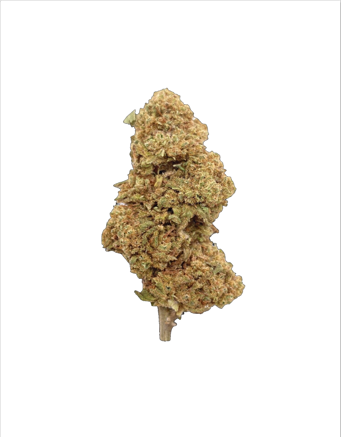 Brown Kush Brown Kush