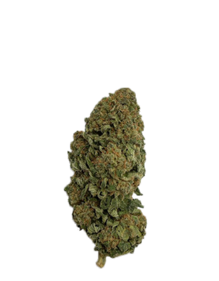 New-York Diesel