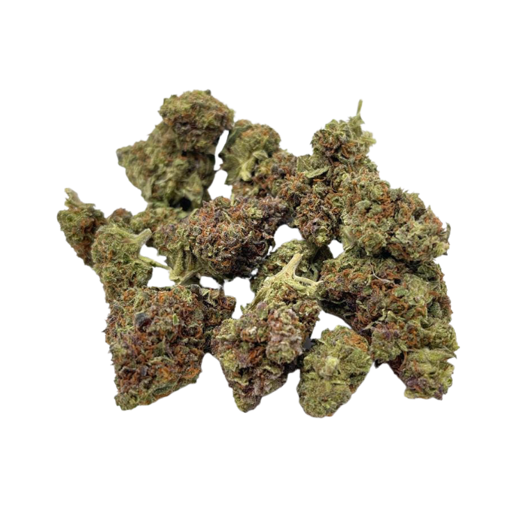 Harley  Kush